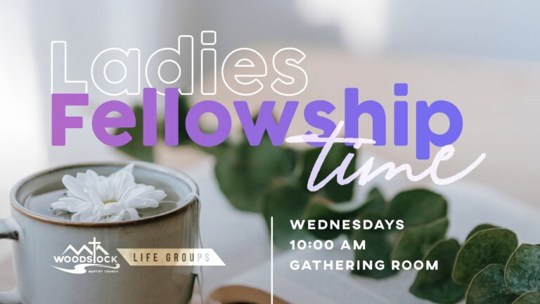 Ladies Fellowship 2024