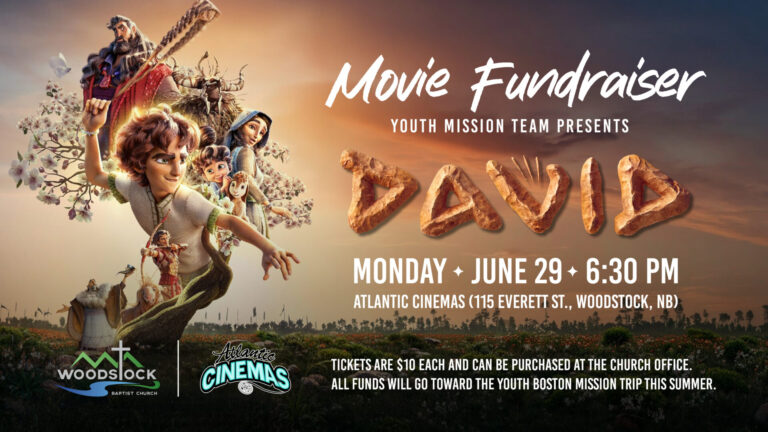 Movie Fundraiser 2