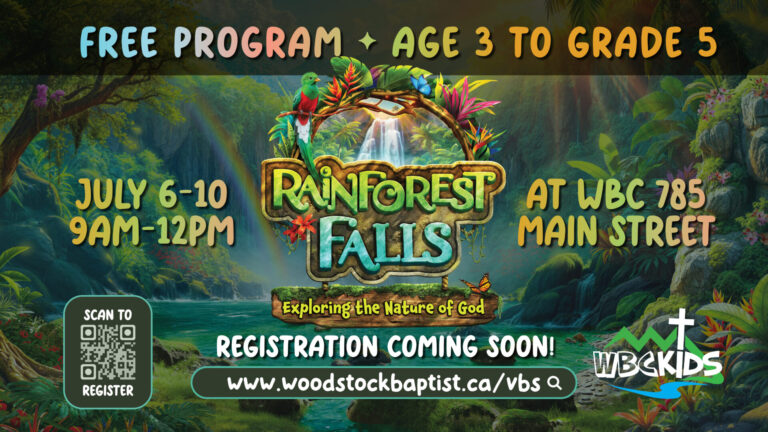 VBS Rainforest